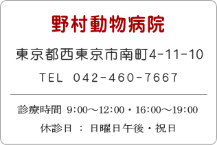野村動物病院：西東京市南町4-11-10